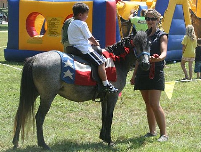 Grey welsh show pony for lease